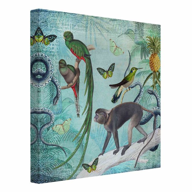 Telas decorativas borboletas Colonial Style Collage - Monkeys And Birds Of Paradise