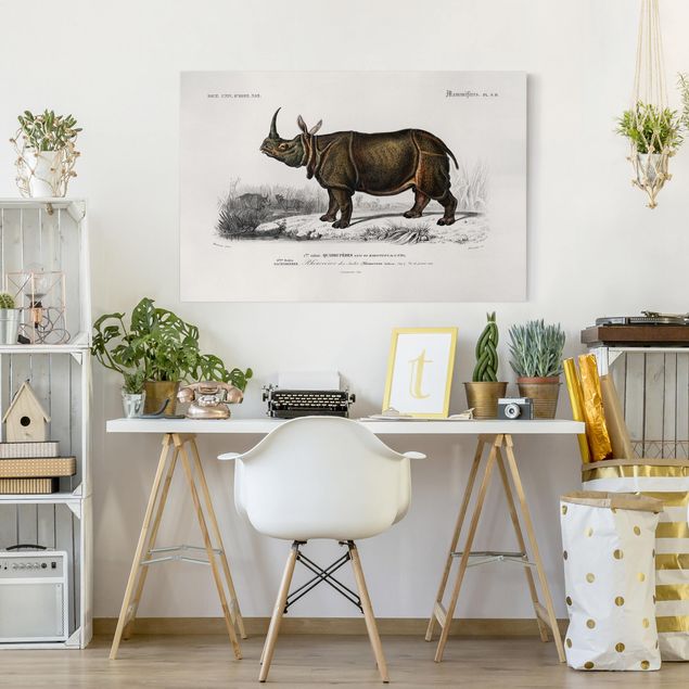 Telas decorativas África Vintage Board Rhino