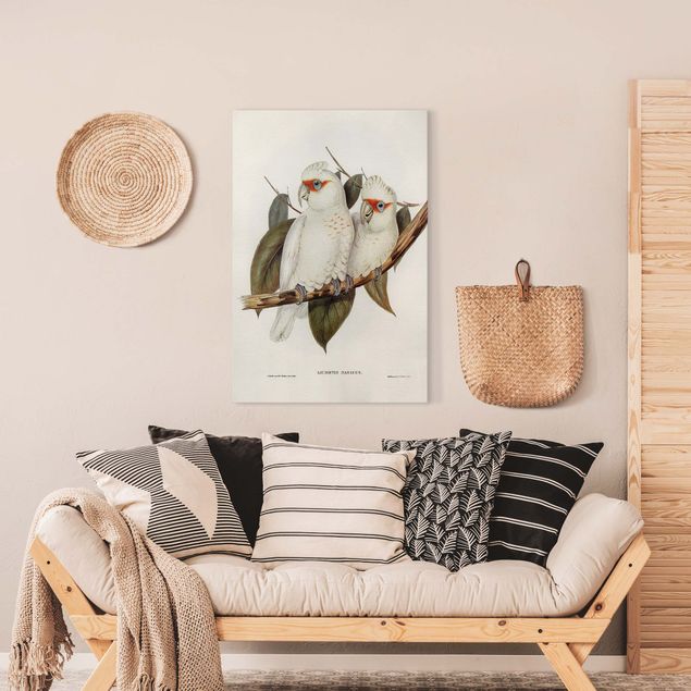 Telas decorativas aves Vintage Illustration White Cockatoo