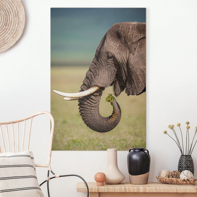 Telas decorativas elefantes Feeding Elephants In Africa