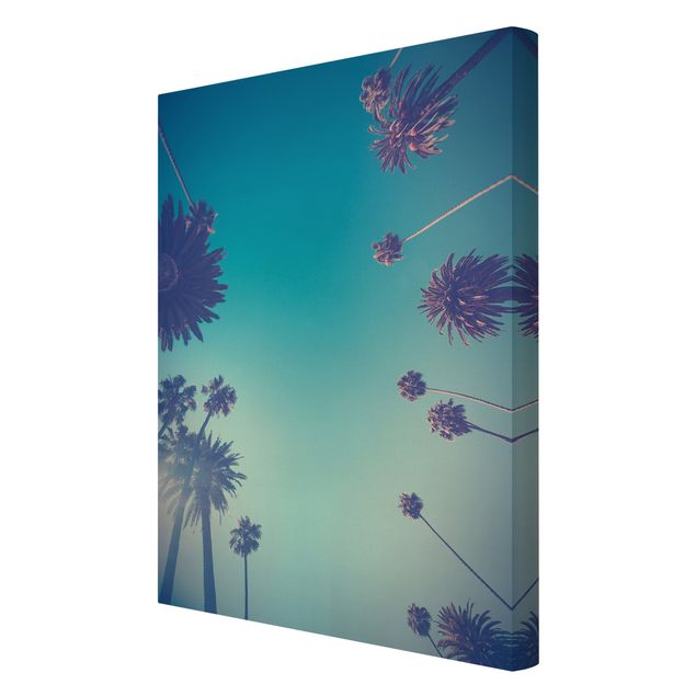 quadros de flores Tropical Plants Palm Trees And Sky II