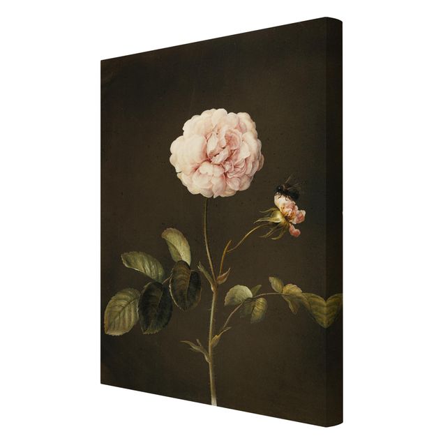 quadros de flores Barbara Regina Dietzsch - French Rose With Bumblbee