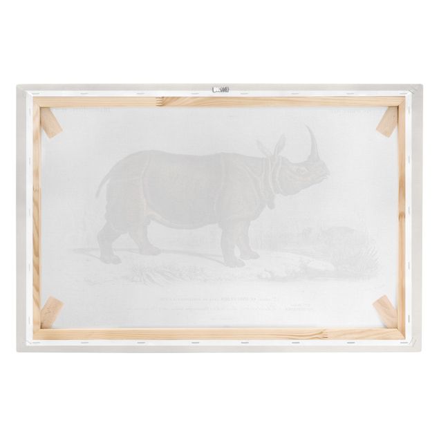 Quadros em marrom Vintage Board Rhino