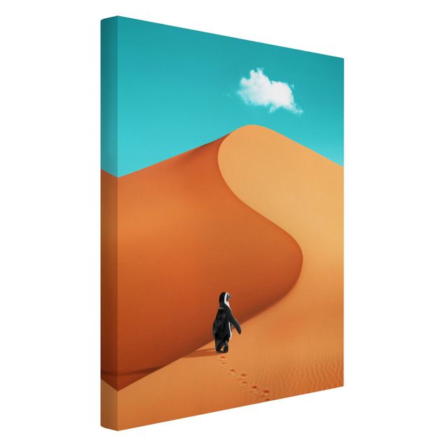 quadros de paisagens Desert With Penguin