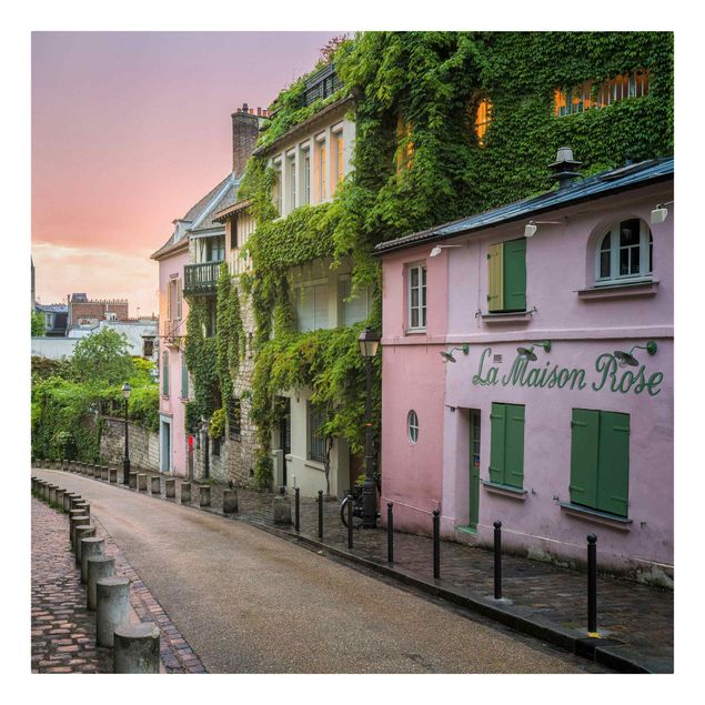 Quadros paisagens Rose Coloured Twilight In Paris