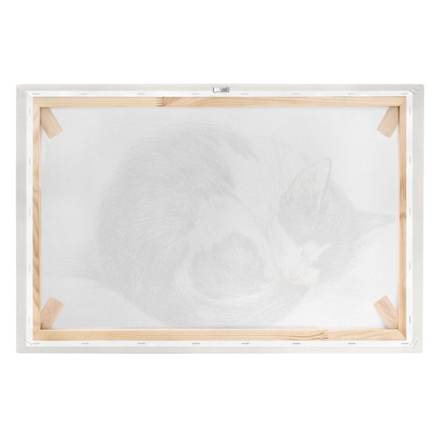 quadros preto e branco para decoração Vintage Drawing Cat II