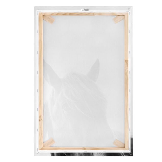 quadros preto e branco para decoração Curious Horse