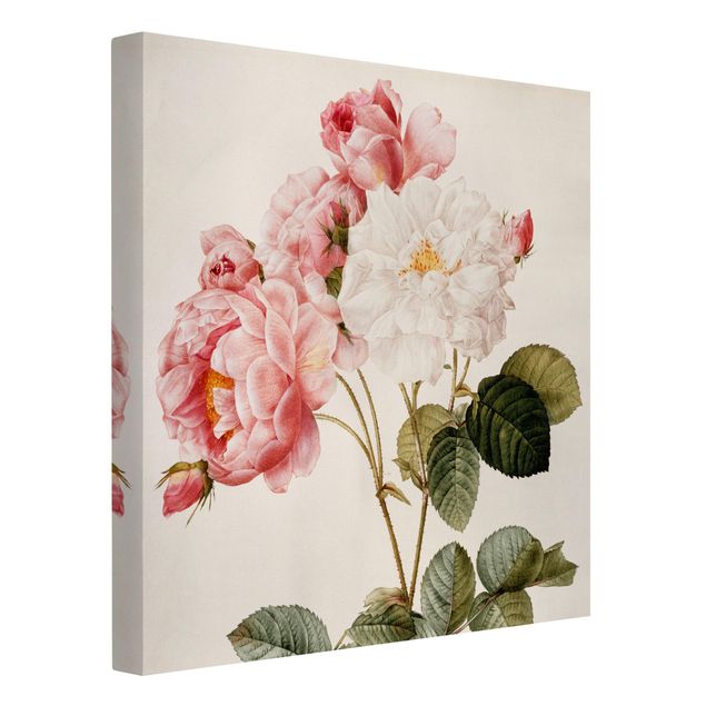 Telas decorativas flores Pierre Joseph Redoute - Pink Damascena