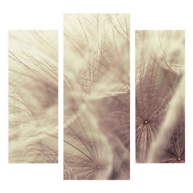 Quadros florais Detailed Dandelion Macro Shot With Vintage Blur Effect