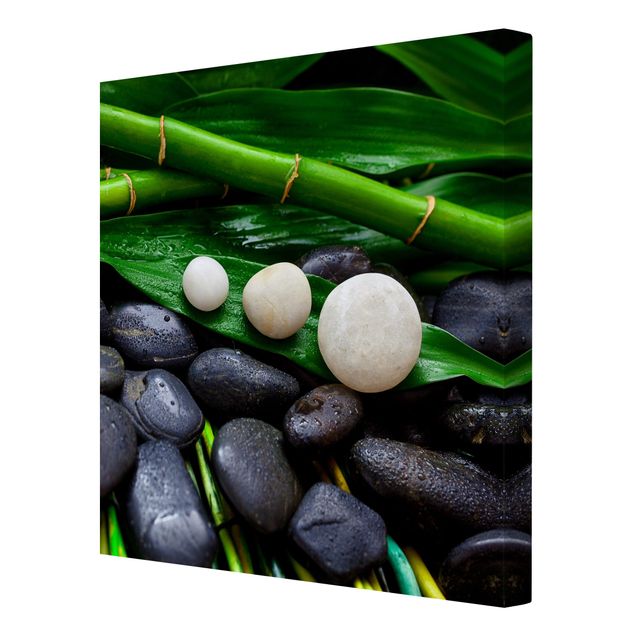 Quadros florais Green Bamboo With Zen Stones