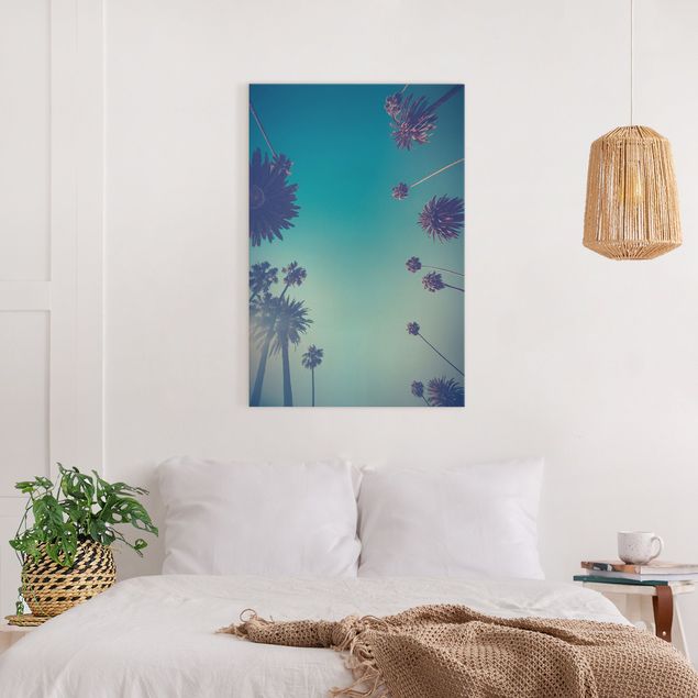 quadro com paisagens Tropical Plants Palm Trees And Sky II