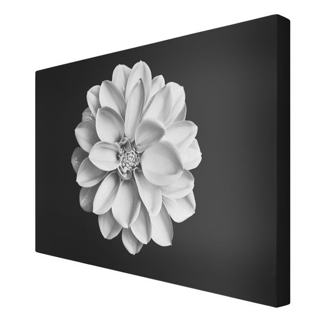 decoração quadros Dahlia Black And White