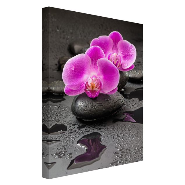 Telas decorativas imitação pedra Pink Orchid Flower On Stones With Drops
