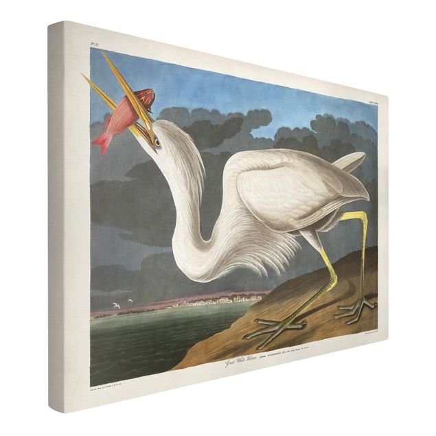 Telas decorativas aves Vintage Board Great White Egret