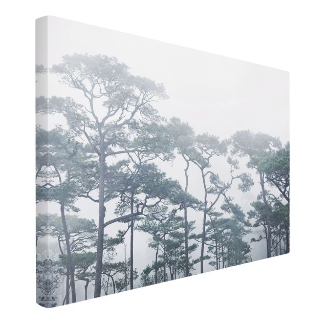 Telas decorativas paisagens Treetops In Fog