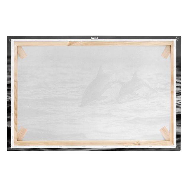 quadros em preto e branco Two Jumping Dolphins