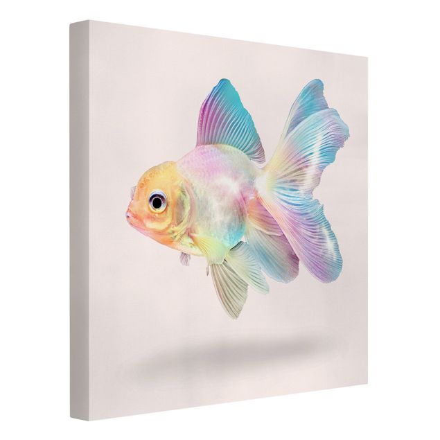 Telas decorativas réplicas de quadros famosos Fish In Pastel