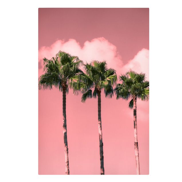 quadros de flores Palm Trees Against Sky Pink