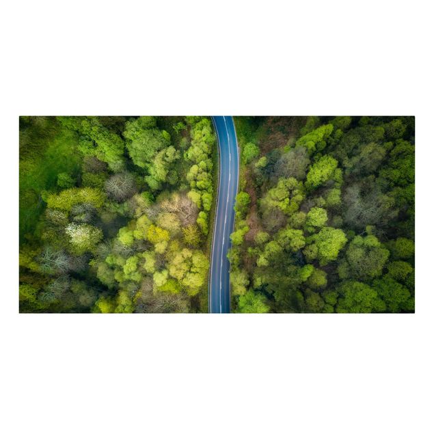 Telas decorativas florestas Aerial View - Asphalt Road In The Forest