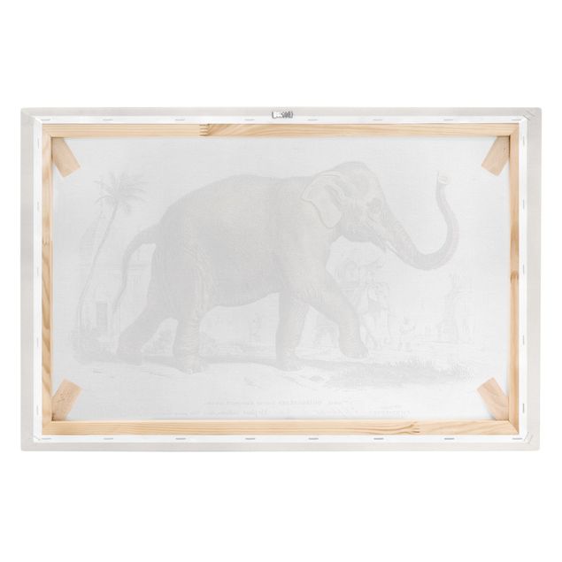 Telas decorativas animais Vintage Board Elephant