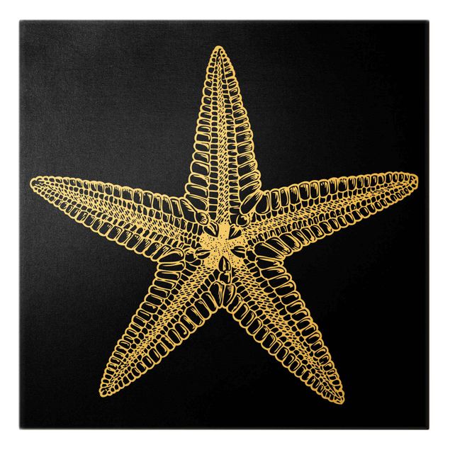 Quadros pretos Illustration Starfish On Black