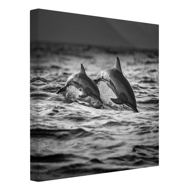 Telas decorativas em preto e branco Two Jumping Dolphins
