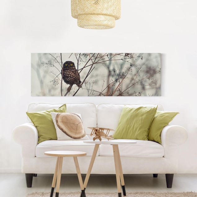 quadros decorativos para sala modernos Owl In The Winter