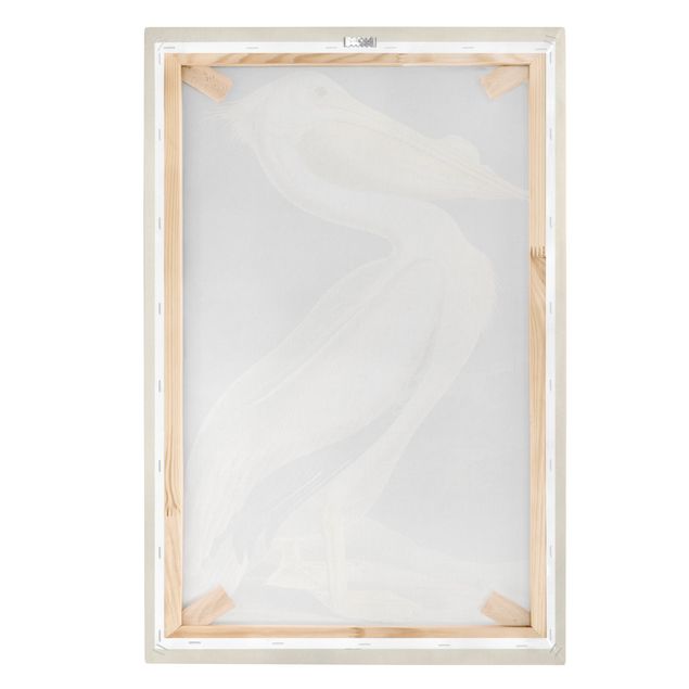 decoração quadros Vintage Board White Pelican