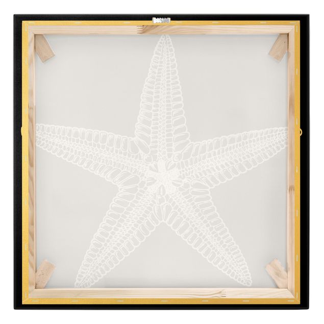 Telas decorativas Illustration Starfish On Black