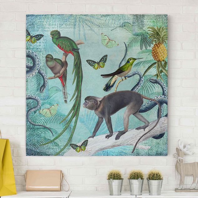 Telas decorativas macacos Colonial Style Collage - Monkeys And Birds Of Paradise