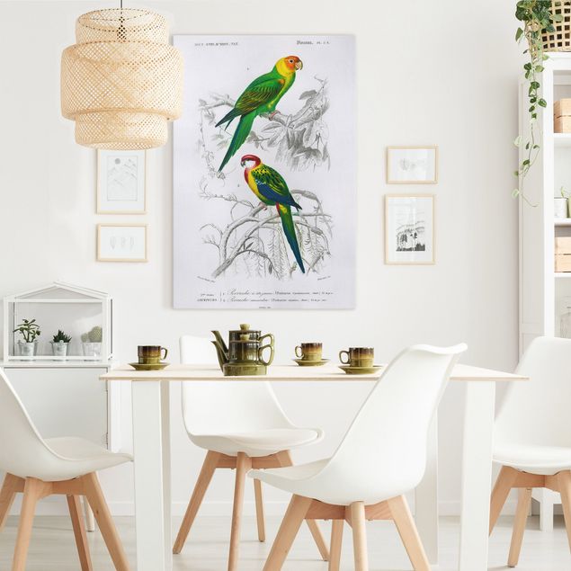 Telas decorativas aves Vintage Wall Chart Two Parrots Green Red