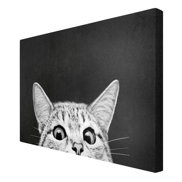 Telas decorativas em preto e branco Illustration Cat Black And White Drawing