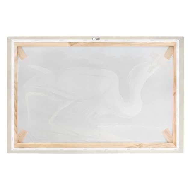 Quadros retro Vintage Board Great White Egret