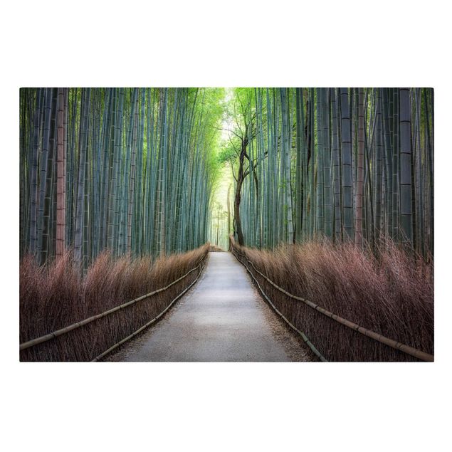 Telas decorativas cidades e paisagens urbanas The Path Through The Bamboo