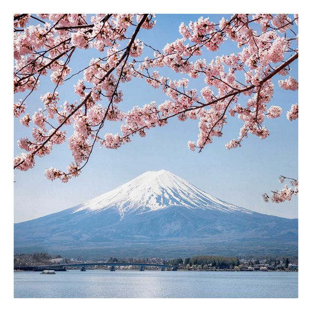 Quadros montanhas Cherry Blossoms With Mt. Fuji