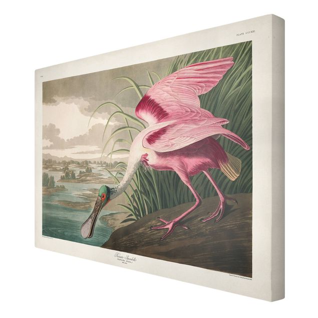 Telas decorativas animais Vintage Board Pink Sturgeon