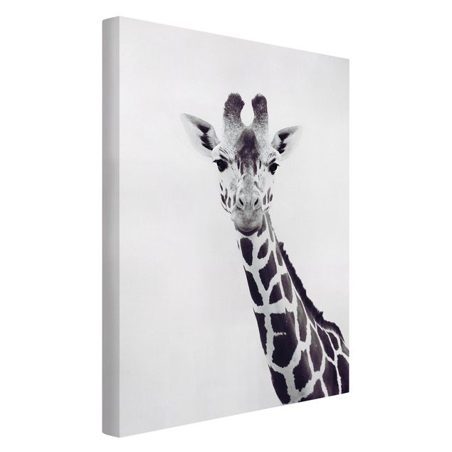 Telas decorativas em preto e branco Giraffe Portrait In Black And White