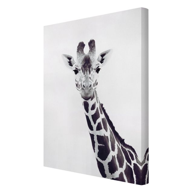 quadros modernos para quarto de casal Giraffe Portrait In Black And White