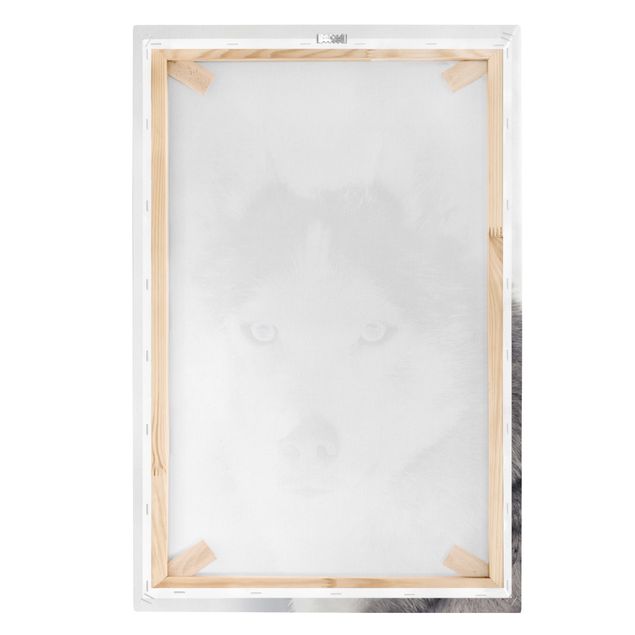 quadros para parede Husky Portrait