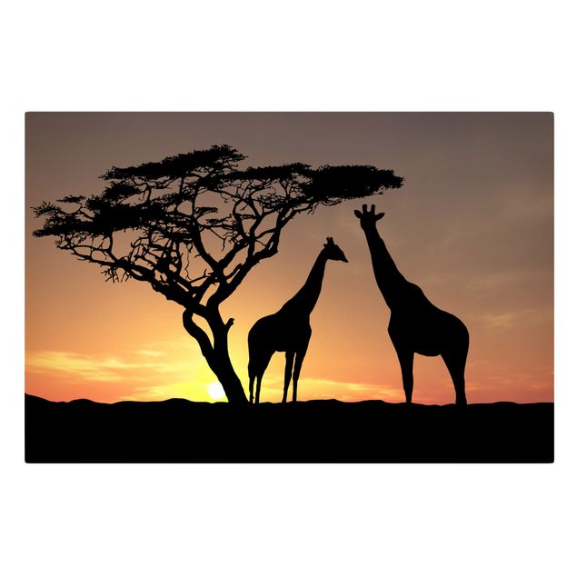 Quadros girafas African Sunset