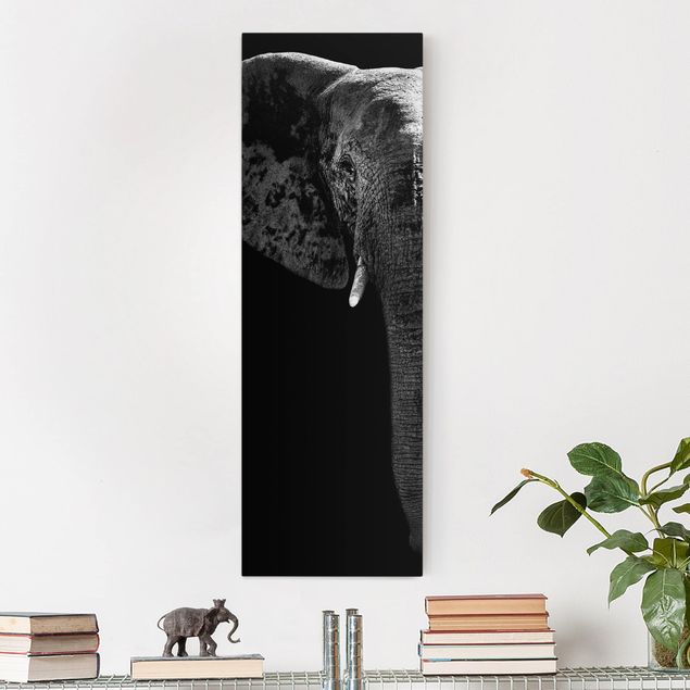 Telas decorativas elefantes African Elephant black and white
