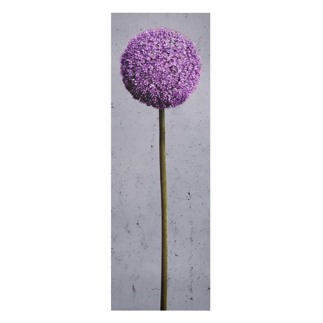 Quadros decorativos Allium Round-Headed Flower