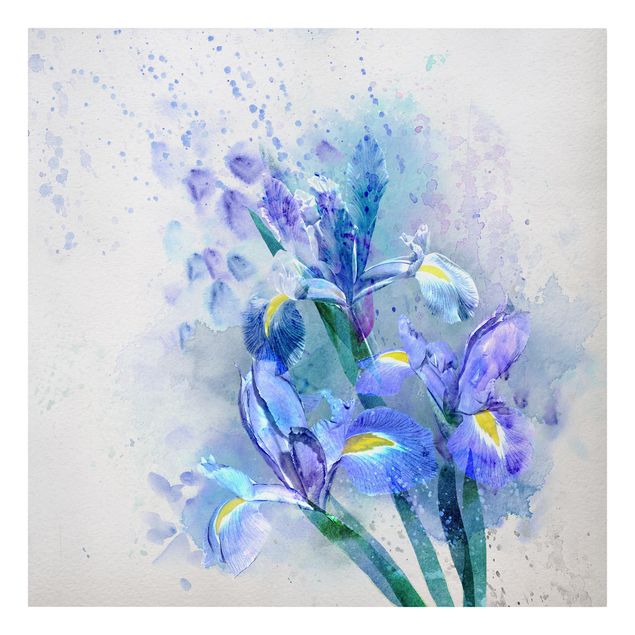 quadro azul Watercolour Flowers Iris