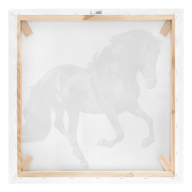 quadros preto e branco para decoração Arabian Stallion