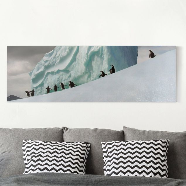 decoraçao para parede de cozinha Arctic Penguins
