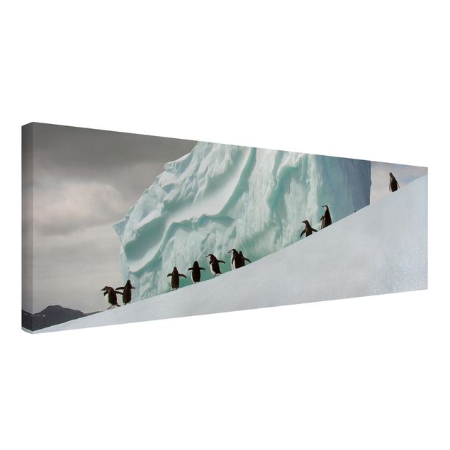 quadro com paisagens Arctic Penguins