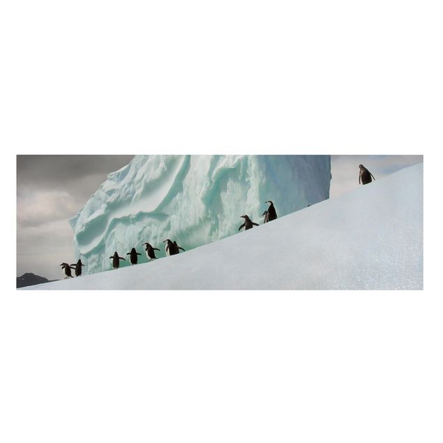 Telas decorativas paisagens Arctic Penguins