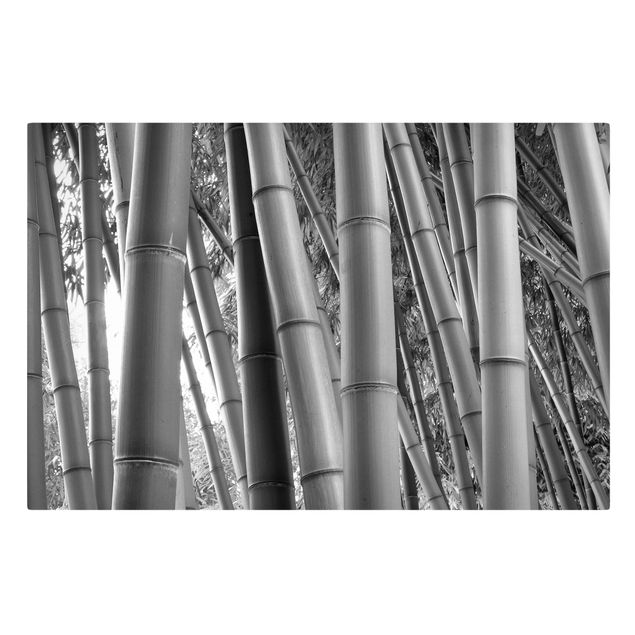 quadros de paisagens Bamboo