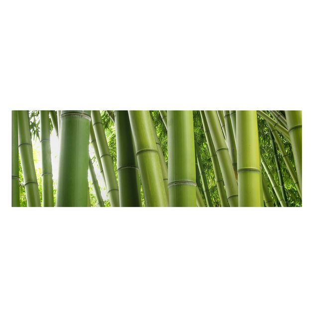 quadro com paisagens Bamboo Trees