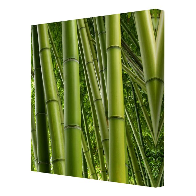 Telas decorativas paisagens Bamboo Trees